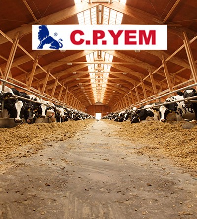 CP Yem
