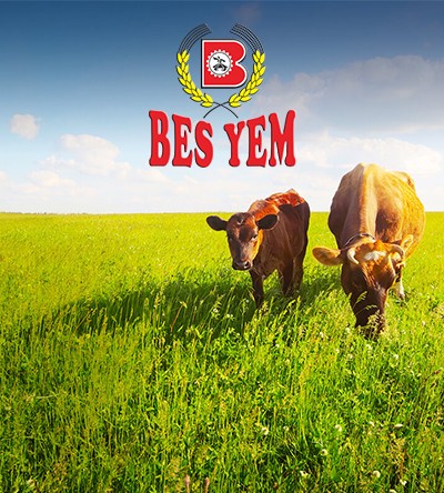 Bes Yem